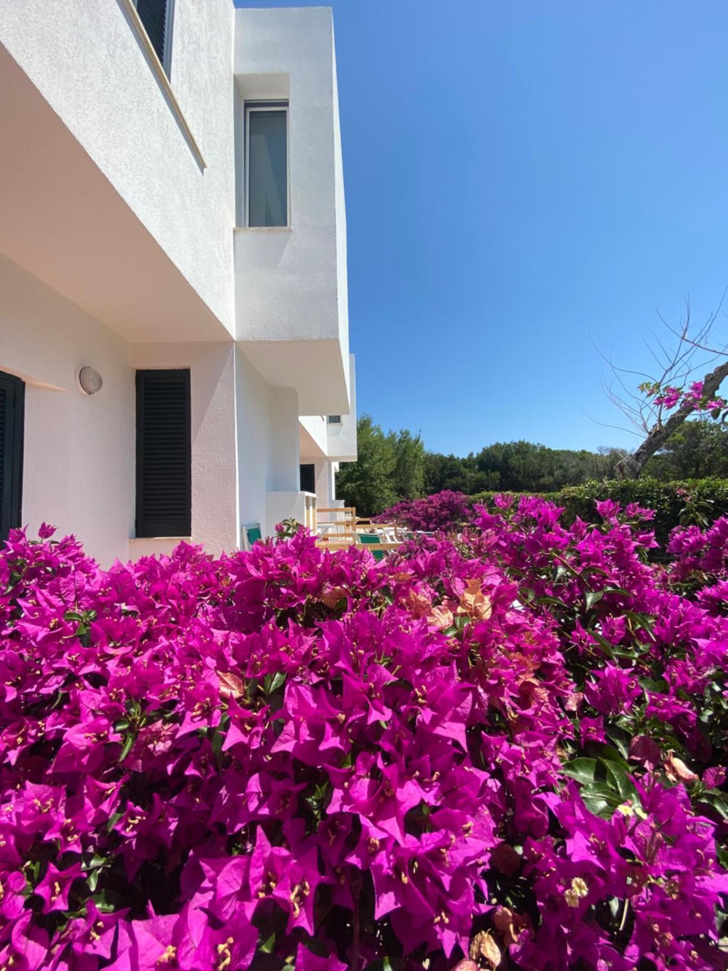 Residence Altair - Serra Degli Alimini Otranto Kültér fotó